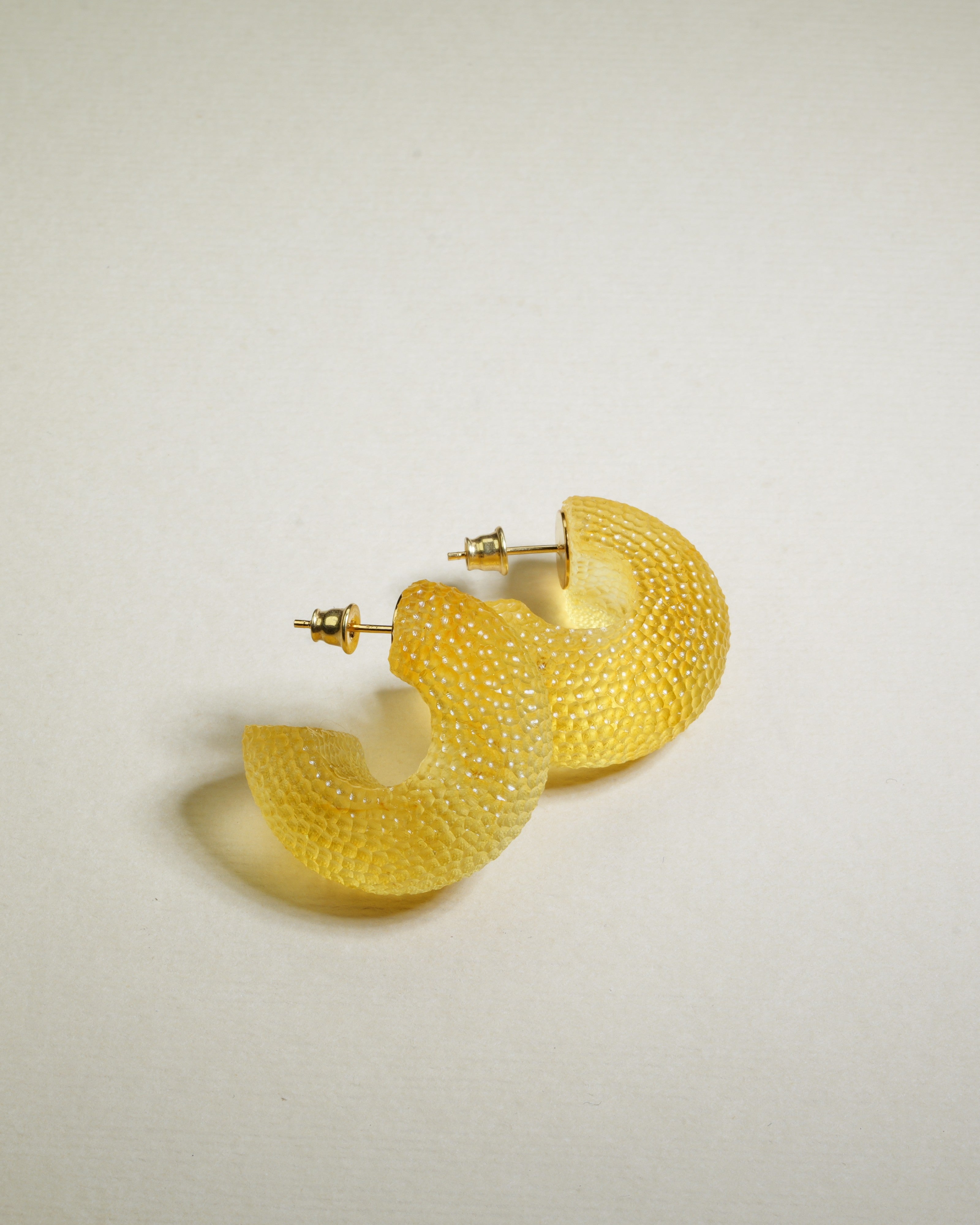 Earrings Delon