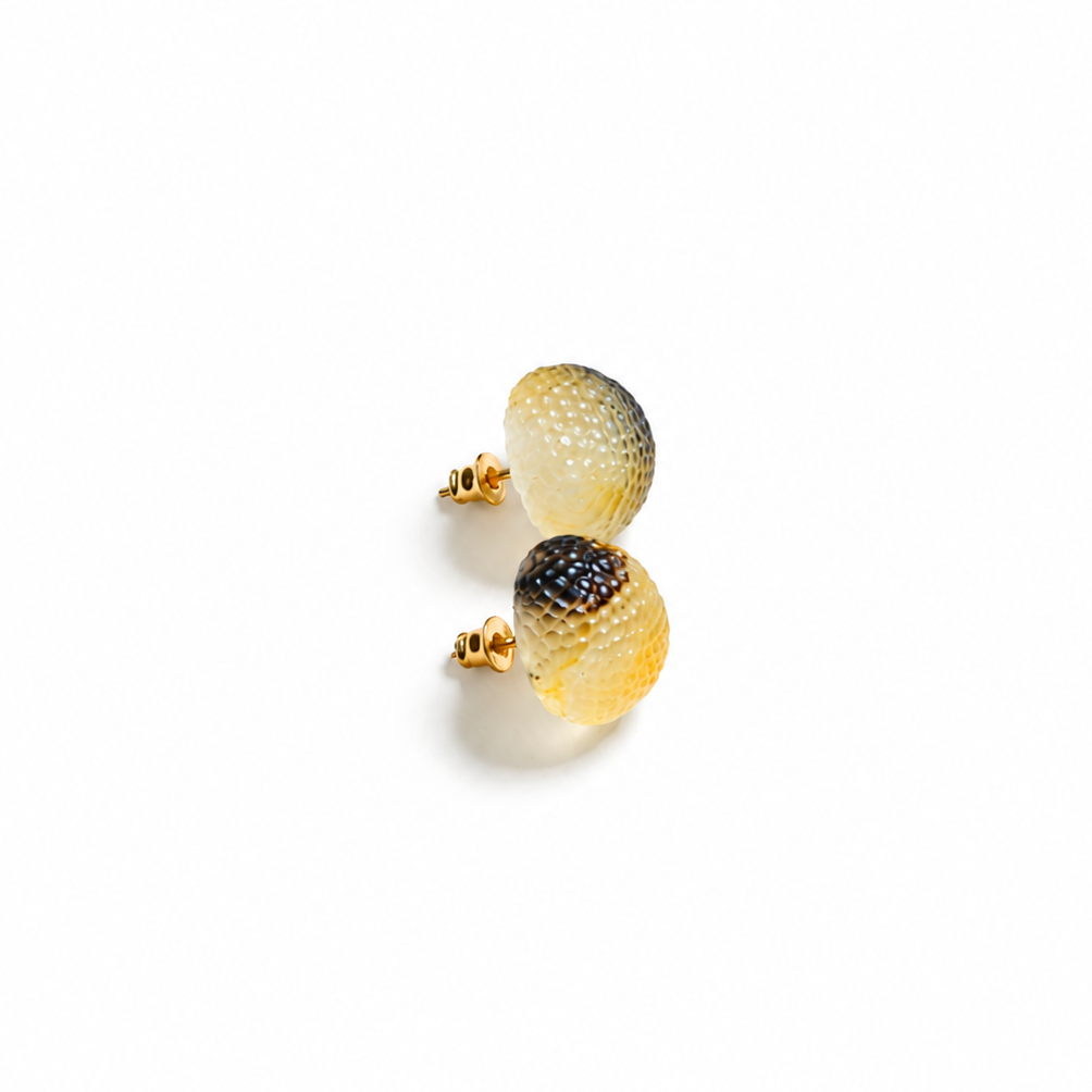 Colombe Baltic amber stud earrings in cream and black amber — handcrafted in Lithuania by AMBER999