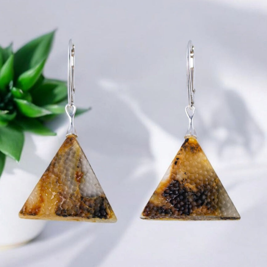 Earrings - Cylora