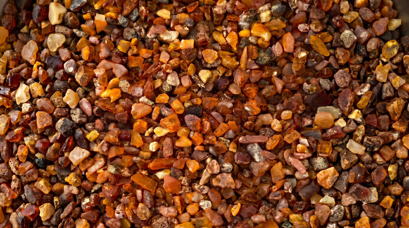 The Complete Guide to Baltic Amber