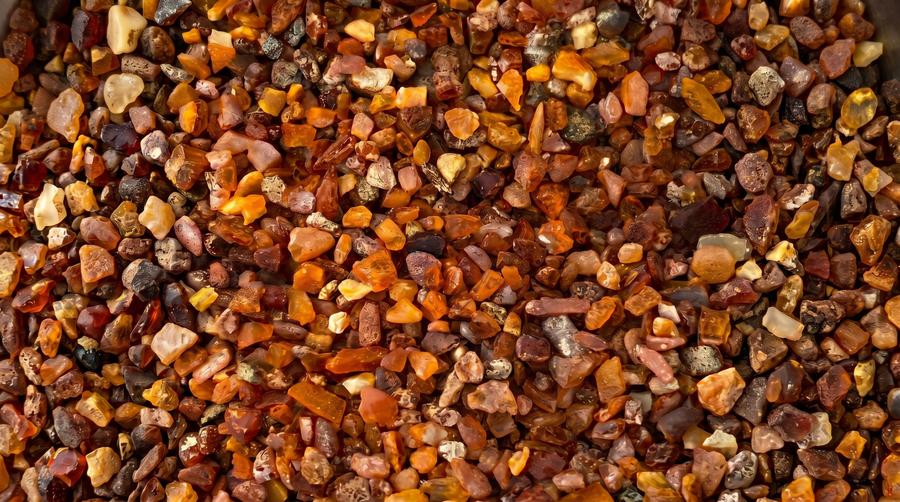 The Complete Guide to Baltic Amber