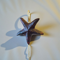 Star - Earrings