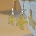STEINA - earrings