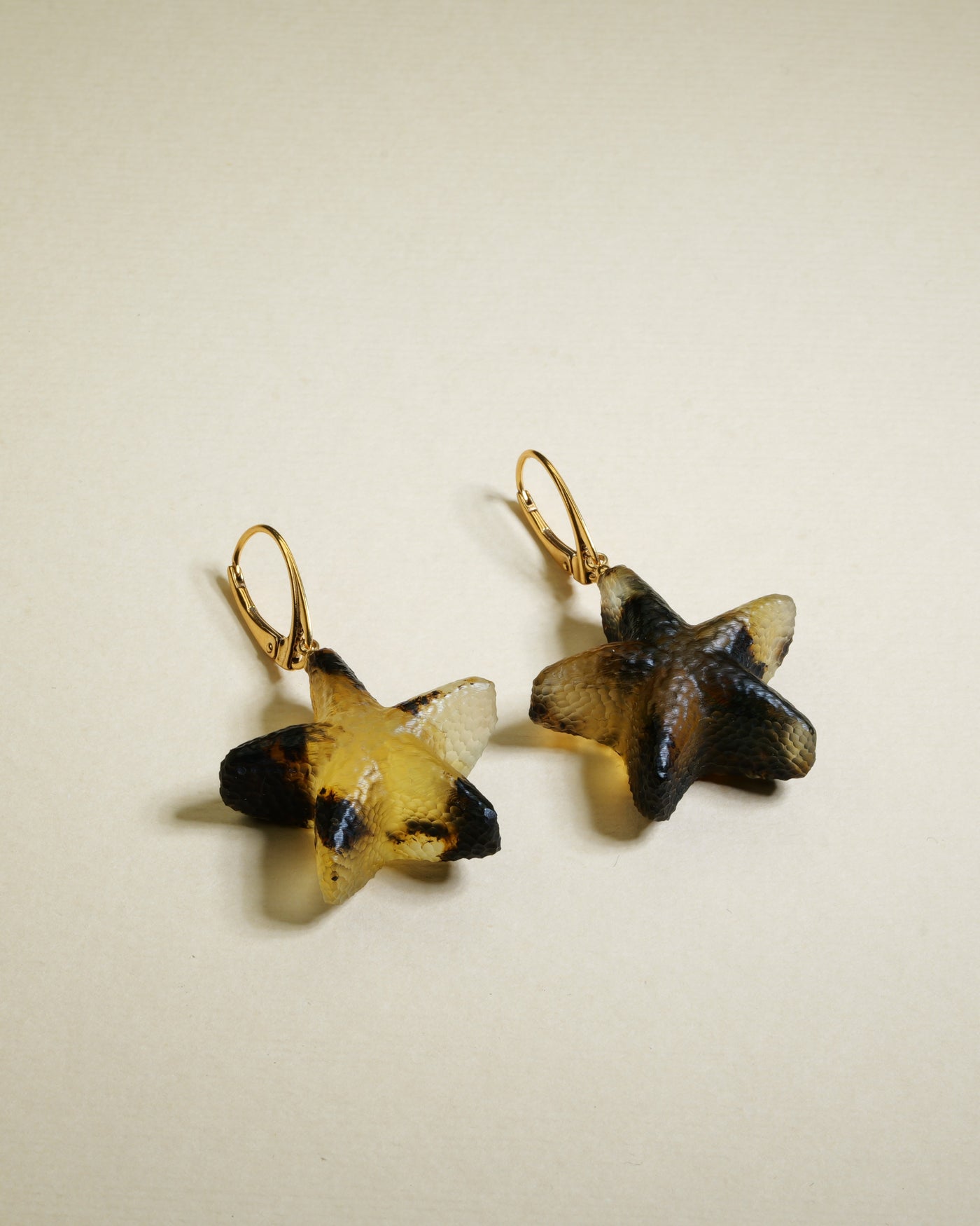 Earrings Bellune