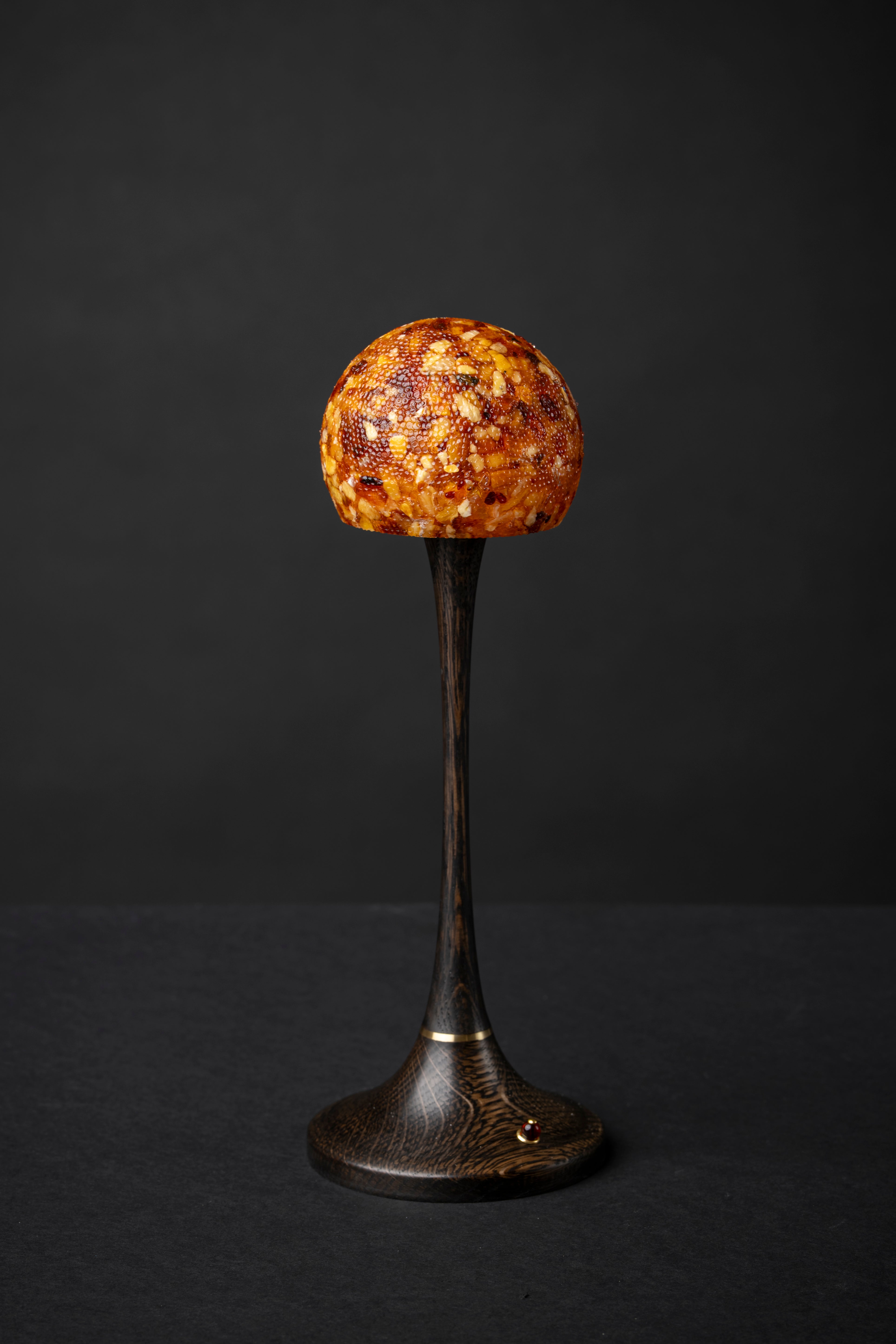 Amber Planet