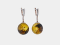 Earrings - Gintra