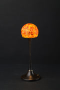 Amber Planet