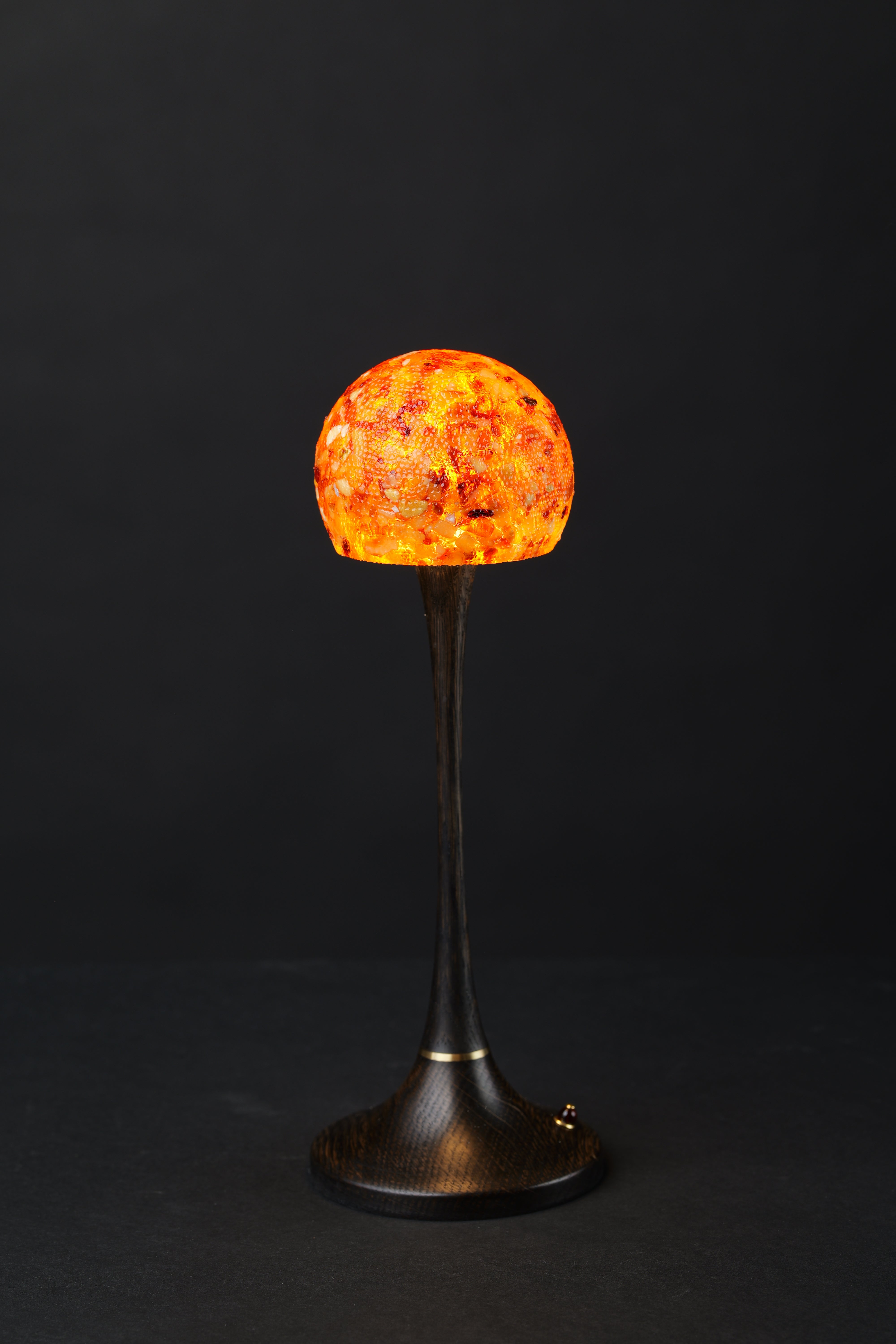 Amber Planet